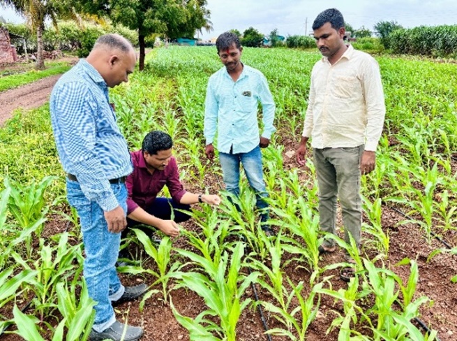 Diagnostic-Field-visit-on-FAW-in-Maize-at-Solankarwadi-on-22.07.24