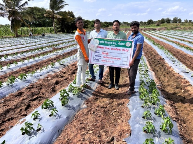 FLD-Visit-Management-of-Leaf-curl-in-Chili-at-Khandali-on-05.07.24