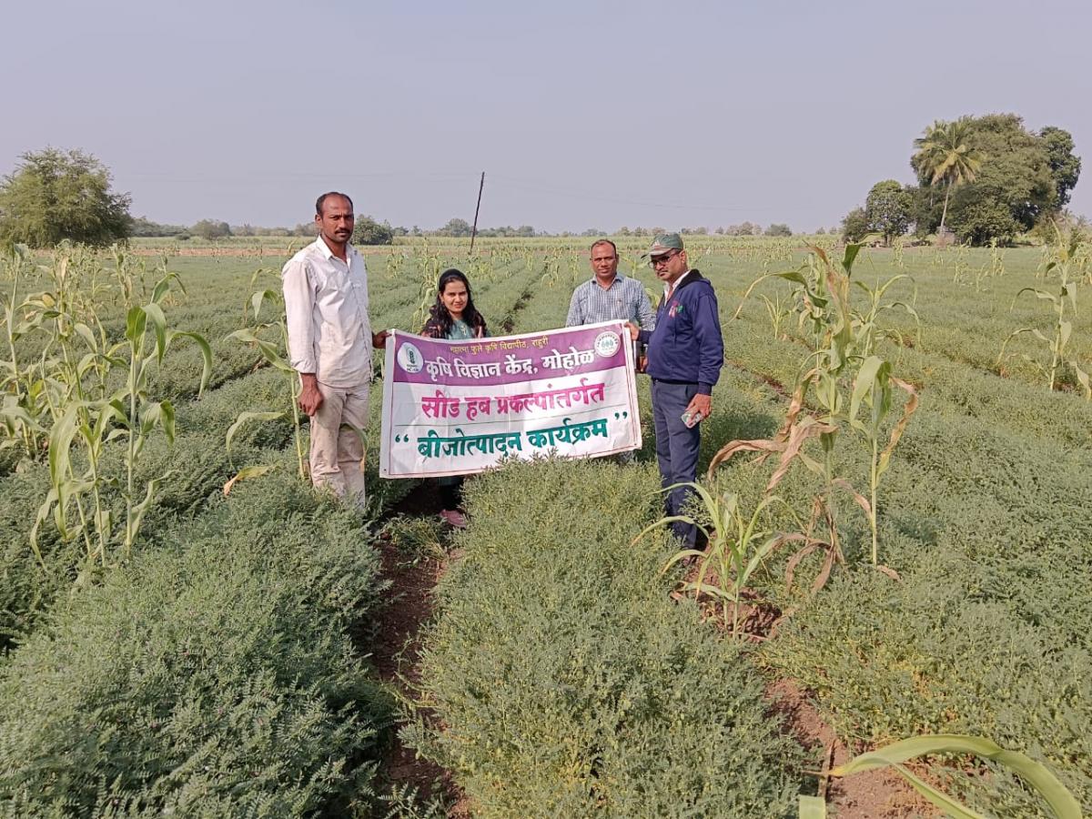 Seed-Hub-Visit-Foundation-seed-production-plot-of-Chickpea-Var.-Phule-Vishwaraj-at-KVK-Mohol-on-29.01.2024