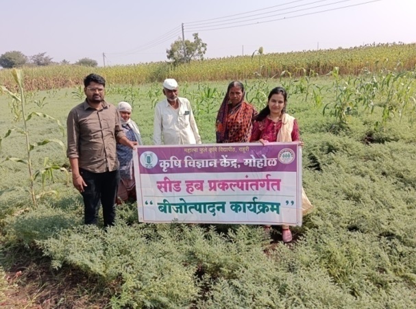 Visit-to-Seed-hub-plot-of-Chickpea-P.Vishwaraj-Spraying-of-Micrnutrient-to-induce-quality-characters-at-Warawade-on-01.02.2024